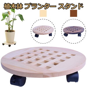 Freell t[ ؐ v^[X^h Aؔ u ԑ LX^[  Xgbp[t 30cm ی^ ~`