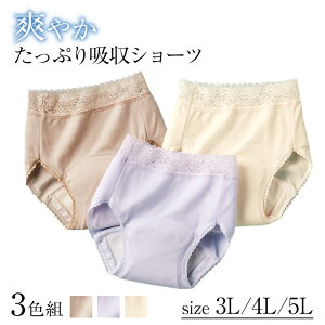 y1114-16聚|Cg5{zy3ZbgzՂzIy ARh~ V[c3Fg Zbg  V[c Tj^[V[c l M L LLXL 3L 4L 5L 傫TCY t  