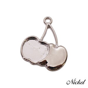 `[ y_ggbv  `F[ 2/10 11mm×13mm ANZT[p[c nhCh IWi g JN ~[M W