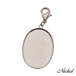 `[ L[z_[ ȉ~ iXJ 1/10 25mm×18mm ANZT[p[c nhCh IWi ޗ   ܂ݍ׍H