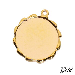 `[ y_ggbv ~  2/10 a19mm ANZT[p[c nhCh IWi g JN ~[M W