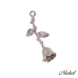 `[ L[z_[ y_ggbv  o KN  2/10 32mm×12mm ANZT[p[c nhCh IWi W