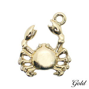 `[ L[z_[ y_ggbv Jj I 2/10 17mm×14mm ANZT[p[c nhCh IWi W