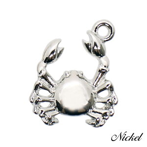 `[ L[z_[ y_ggbv Jj I 2/10 17mm×14mm ANZT[p[c nhCh IWi W