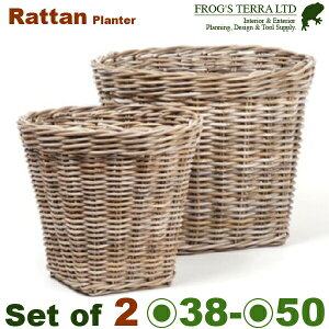 AD916 ^v^[oXPbgS/LZbgiL:a50cm×H45cm/S:a38cm×H36cmjiڔjiVR^/Rattan/OXt@Co[jiJo[j