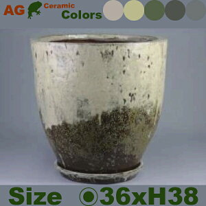 OCXW[ XL(a36cm×H38cmjiꌊ/MtjZ~bN ō Aؔ