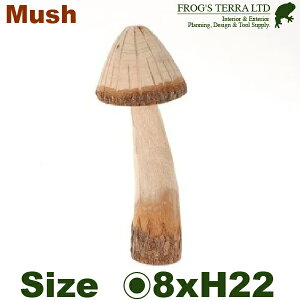 fR}bV[ O} 22ia8cm×H22cmjؐ I[ig