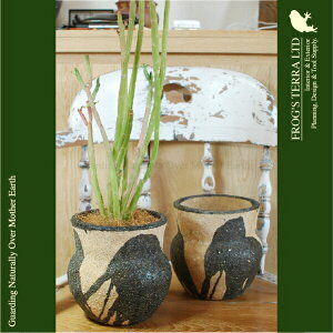 Drip PotEC7335E2Zbgia16cm×H16cmjiꌊȂji퐻jiv^[/T{e//A/ϗtj