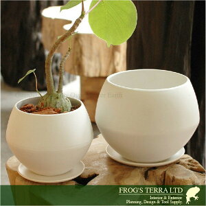 WEhM 2Zbg C1321ia18cm×H14cmjiꌊ/Mtji퐻jiv^[/|bgj