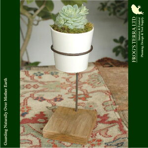 TCGX|bgE2ZbgEC5300ia11.5cm×H28cmjiꌊȂ/X^htji퐻jiv^[/|bgjiϗt/|j