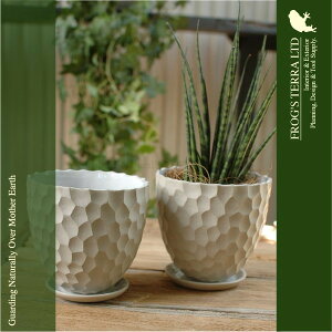 C6322E3Zbgia13cm×H12cmjiꌊ/Mtji퐻jiJo[/h/ϗtj