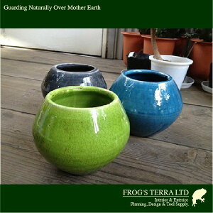 AeB[NJ[h۔ M F2Zbg C9385ia20cm×H15cmjiꌊȂjiAؔ/Jo[ji퐻jiNjiv^[/|bgji|j