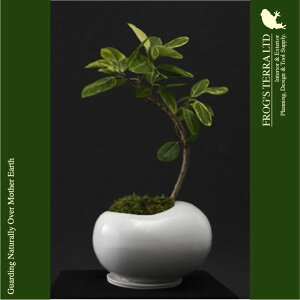 cZbgES017MWh/SB/BriW30cm×D20cm×H20cmjiꌊ/Mtjji퐻jiϗtj