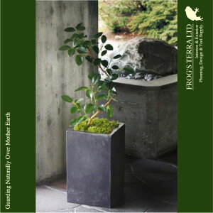 ZhiOEnESEVG-001Azi24cm×H39cmjiꌊjiZgt@Co[jiv^[/|bg/ϗt//|/K[fjOj