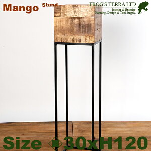 y@l菤iz RJ}S[ {bNXX^h H120cmi30cmxH120cmj ԑ fBXvCX^h ItBX