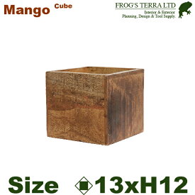 【法人宛限定商品】 AMマンゴー ボックス H12.5cm（口13.5cmxH12.5cm） 花台 プランター オフィス