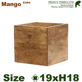 【法人宛限定商品】 AMマンゴー ボックス H18.5cm（口19.5cmxH18.5cm） 花台 プランター オフィス