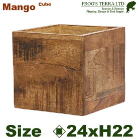 【法人宛限定商品】 AMマンゴー ボックス H22cm（口24cmxH22cm） 花台 プランター オフィス