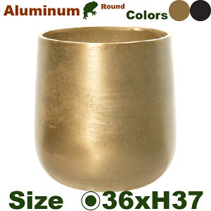 y@l菤iz AM10 x[X H37 A~jEԊia36cmxH37cmjiꌊȂj Jo[ fBXvC ItBX