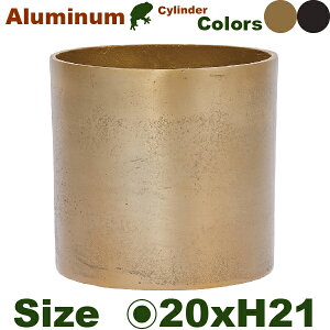 y@l菤iz AM V_[ H21.5 A~jEԊia20cmxH21.5cmjiꌊȂj Jo[ fBXvC ItBX