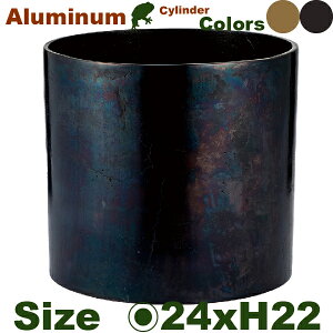 y@l菤iz AM V_[ H22 A~jEԊia24.5cmxH22cmjiꌊȂj Jo[ fBXvC ItBX