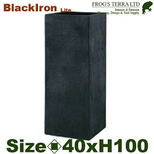 Black Iron Lite BL փb` g[v^[i40cm×H100cmjiFRP/t@Co[NCjiꌊ/yʃv^[j
