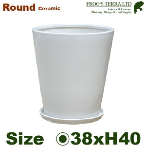 Eh 38 SG-190138ia38cm×H40cmjiꌊ/Mtji퐻jiyʃv^[/|bgj