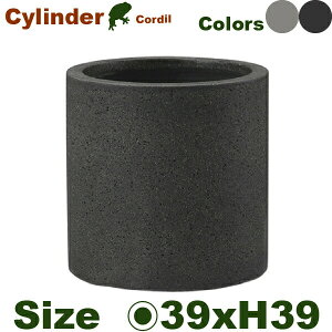 R[fB V_[ 39 Cordilia39cm×H39cmjiꌊjiڔΉ |Xg[ v^[ |bg y ϗtj