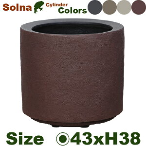 \i V_[ 43 EB-SC4338 PL/SA/WH/WRia43cm×H38cmjiꌊj10ΉiZgt@Co[jiv^[/|bg/ϗt//K[fjOj