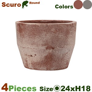 XN[ V[ Scuro 24 TCYF4Zbgia24cm×H18cmjiꌊji v^[ |bg ϗt | 񂹐Aj