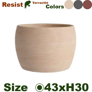 RESIST WXg o[ 42ia43.5cm×H30.5cmjiꌊji픫 eRb^ v^[ 񂹐A |bgj