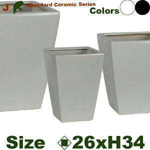 J �p�� S J554S�i��26cm×H34cm�j�i�ꌊ����j�i���퐻�j�i�y�ʃv�����^�[/�|�b�g�j