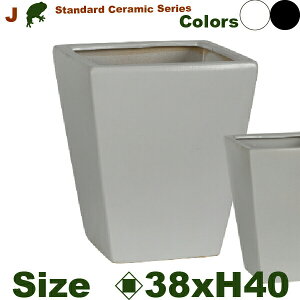 J p L J554Li38cm×H40cmjiꌊji퐻jiyʃv^[/|bgj