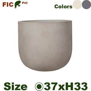 Zgt@Co[ Eh FIC19Mia37cm×H33cmjiꌊȂj