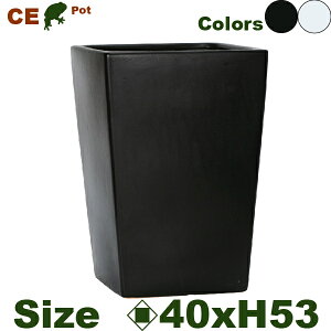 CE p42i40cm×H53cmjiꌊjiڔΉ 퐻 CR~@ yʃv^[ |bgj