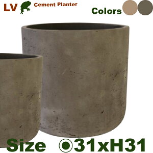 �Z�����g�t�@�C�o�[ �^�u�|�b�g M LV01-32�i���a31cm×H31cm�j�i�ꌊ�Ȃ��j�t�@�C�o�[�N���C