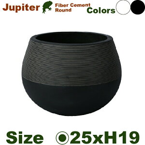 Ws^[Eh S TL004-1SWh/Bkia25cm×H19cmjiꌊȂ/jiZgt@Co[jiv^[/|bg/ϗtj