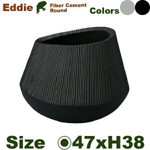 GfB Eh L Eddieia47cm×H38cmjiꌊ/Ȃjit@Co[ v^[ |bg y ϗt Ԋj