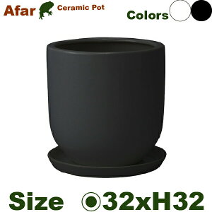 �A�t�@�[�� ��/�� S S045SWh/MB�i���a32cm×H32cm�j�i�ꌊ����/��M�t�j�i���퐻�j�i�ϗt���j