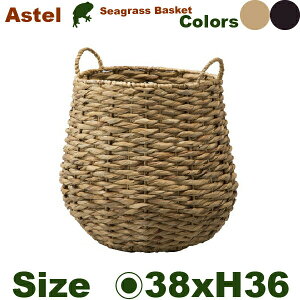 AXe S 12ia38cm×H36cmjiꌊȂjA@ Jo[ v^[ | 񂹐A oXPbg JtF