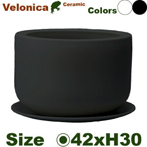 xjJL MK-010Lia42cm×H30cmjiꌊ/Mtji퐻jiyʃv^[/|bgj