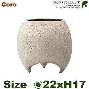 MJ bij Lia22cm×H17cmjiꌊ jy 픫 eRb^ v^[ 󒍐Yi 葢 |bg