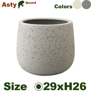 AXeB Eh Sia29cmxH26cmjiꌊȂjiZgt@Co[jiv^[/|bg/j