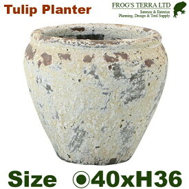 チューリッププランターL FS6854AD2L Atlantis丸壺型（直径40cm×H36cm）（底穴有）（陶器製）（観葉鉢）