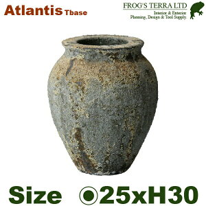 �y���O�Ή��zMM �A�g�����e�B�X�e�B�[�x�X FS6394AD Atlantis�i���a25cm×H30cm�j�i�ꌊ�Ȃ�/����j�i���퐻�j�i�ϗt���j