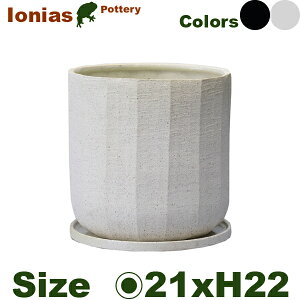 CIjAX N[vL CR027Lia21cm×H22mjiꌊL/Mtji퐻 Ԋ {̔j