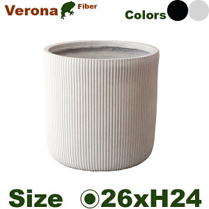 �x���[�i �X�g���C�vS CO-001S�i���a25.5cm×H24m�j�i�ꌊ�L�j�i���퐻 �Ԋ� ���{�̔��j