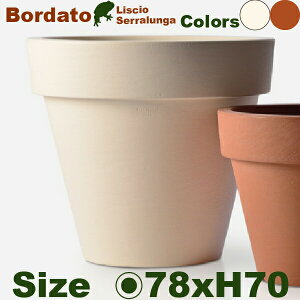 Bordato Liscio {_[g X`I 78 (a78cm×H70cmjv^[ |bg y ϋv Ǝ{ Serralunga ZK