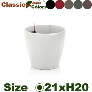 Classico Joker NVR W[J[ 21(a21cm×H20cmjʊ |vs v^[ |bg Lechuza `[U Ǝ{