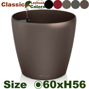 Classico NVR 60(a60cm×H56cmjʊ |vs v^[ |bg Lechuza `[U Ǝ{